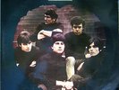 Wild Freakbeat  LP THE SORROWS Take a Heart -PICCADILLY