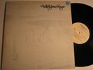 WILL & JAMES RAGAR LP s/t - RARE COSMIC PSYCH FOLK