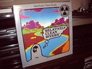 RELATIVELY CLEAN RIVERS Vinyl RARE Beat of the Earth LP