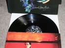 ELEMENT OF CRIME - Damals hinterm Mond Vinyl - selten