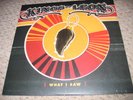 Kings Of Leon What I Saw Limited Blue 10