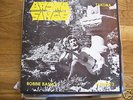 ROBBIE BASHO-Sings orig folk/psych LP john fahey