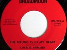 rare Soul 45 CHARLES BRIMMER feeling is in my heart