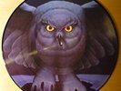 RUSH - Fly by night / Japan Picture disc LP