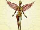 (CERTIFIED) SIGNED BY ALL - NIRVANA - IN UTERO VINYL LP
