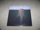 Mars Volta Deloused in the Comatorium 2xlp king crimson