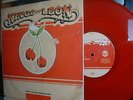 Kings of Leon RARE 10