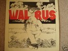 WALRUS  