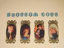 BLOSSOM TOES/WE ARE EVER SO CLEAN/MARMALADE UK 67 MONO