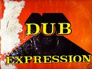 **REVOLUTIONARIES - DUB EXPRESSION LP on HIGH NOTE**
