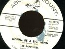 THE SAPPHIRES. GONNA BE A BIG THING.DJ45. NORTHERN SOUL