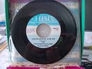 13th Thirteenth Floor Elevators Hanna Barbera 45 RARITY