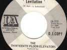 THIRTEENTH FLOOR ELEVATORS Levitation GARAGE PSYCH 45
