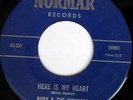 rare Soul Funk 45 RUBY & WONDERS on NORMAR Listen