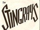 THE STINGRAYS-Countdown-BRISTOL MOD/PUNK 1980 VINYL 7
