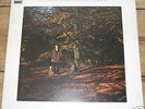 ROGER MORRIS/1ST ALBUM/REGAL ZON - UK 72 SERIOUSLY RARE
