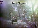  LP  FRESH MAGGOTS  FRESH MAGGOTS  RCA VICTOR