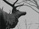 Agalloch the Mantle Grey Record LP Near Mint Condition