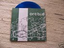 Orchid s/t 7
