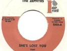 ZEPHYRS - SHE'S LOST YOU - US ROTATE Shel Talmy prod