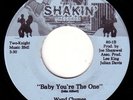 Rarest Boogie Wynd Chymes Baby You're The One Orig. 7
