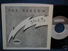THE REASON rare US 1980 POWER POP / PRIVATE PRESSING NM
