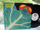 CATAPILLA CHANGES 1972 IN MINT PROG. ALBUM TOP RARE