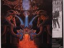 Dismember -Like an everflowing stream LP 1991