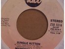 Latin Jazz 45..Manfredo Fest..Jungle Kitten..HEAR