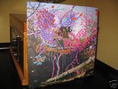 Animal Collective - Here Comes The Indian LP (OOP)