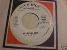 BEVERLY ANN : He's Coming Home  Northern Soul 45 LISTEN