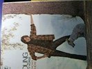 NEIL YOUNG  EVERYBODY KNOWS 2 tone 1st press LP MINT