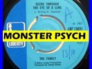 FAMILY UK 45 PSYCH Folk PROG Rock Promo SCENE THROUGH