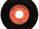 Rockabilly Ronnie Ray 45 Record Garage pre Surf Instr.