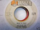 ALLISON & CALVIN TURNER-WHAT IS THIS-LULU-LISTEN