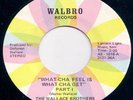 WALLACE BROTHERS What-cha Feel RARE FUNK 45