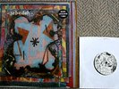 SEBADOH BUBBLE & SCRAPE & LTD 7