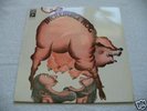 INCREDIBLE HOG Rare PROG MONSTER Orig.1973 Lp UNPLAYED