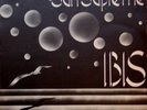 PROG IBIS SUN SUPREME LP ITALIA ORIGINALE