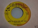 THE REJECTS : Just A Little 1966 Garage Punk 45 LISTEN