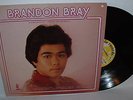 BRANDON BRAY Original Hawaii LP Modern Soul