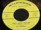 Centrees Wildwood 60's GARAGE G100 Ohio MINT Punk 60s