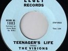 DOO-WOP THE VISIONS  ELGEY RECORDS
