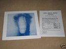 Pet Shop Boys,Before,12''double promo penis sleeve,mint