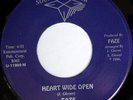 rare Modern Soul 45 FAZE heart wide open SOUND STAR
