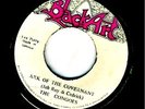 CONGOES-ARK OF THE COVENANT-BLACK ARK-RARE REGGAE 45 7