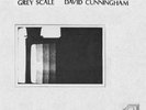 DAVID CUNNINGHAM Grey Scale LP 1st M - this heat nyman