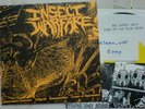 INSECT WARFARE Information Economy 7