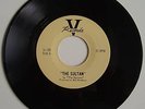 VHTF Ultra-Rare Neil Young Squires V-109 Sultan/Aurora