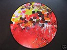 YEAH YEAH YEAHS   FEVER TO TELL   RARE 1st PICTURE DISC